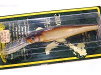 SG Carp