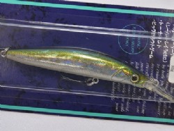 GG Tennessee shad