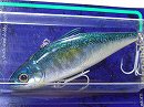 GG Blue mackerel