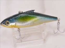GG Green mackerel