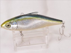 GG Tennessee shad