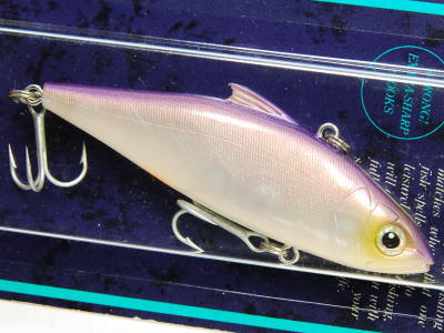 SG Tequila shad