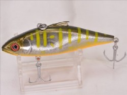 YMC (Yellow M coachdog) 2