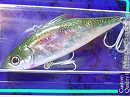 GG Green mackerel