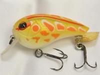 Albino akagaeru