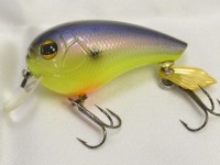 Bream