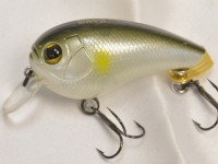 Imakatsu ayu