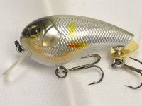 Silver ayu