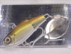 Skeleton aji
