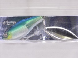 Skeleton blue shiner