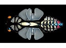 Ageha (Swallowtail)