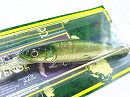 GG Moss back golden shad