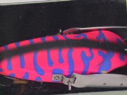 Pink tiger (Tiny paint chip @$18)