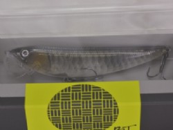 Silver gray arowana (Silver FP) (#908)