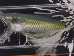 3S jade shad chart belly