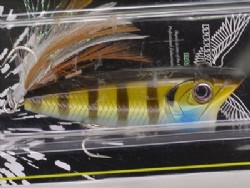 Blue gill