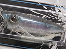 Ghost smoking shad