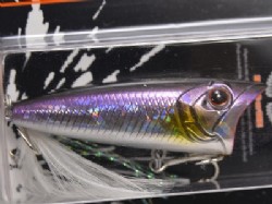 Ice shad