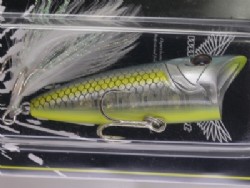 GS jade shad chart belly