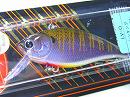 Metallic gill