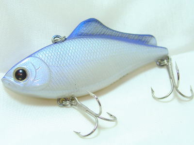 Blue back white