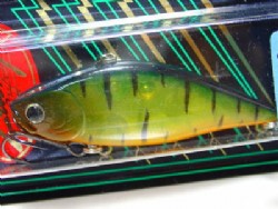 DF hot tiger (Package damaged)