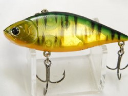 DF hot tiger