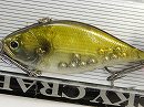 AG Golden shiner