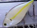 Chartreuse shad