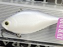 Lavender shad