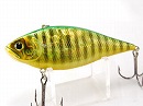 Aurora green perch