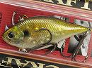 AG Golden shiner