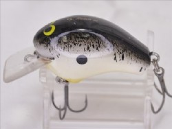 Black back shad