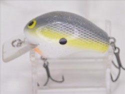 Sexy shad