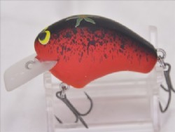 Splutter tomato