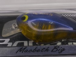 Ghost gill (#006)