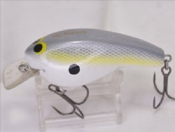 Sexy shad