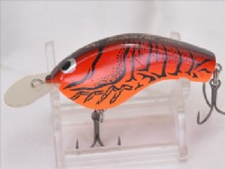 American craw