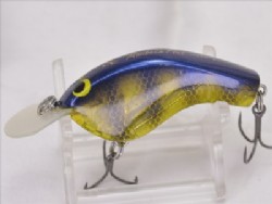 Ghost gill