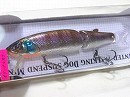 HL Purple gill