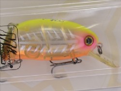 FP bone pink head