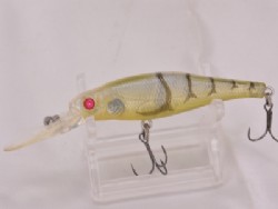 Red eye glass shrimp