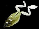 Kajika frog