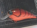 Red craw