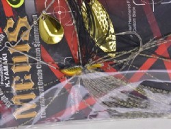 Kinkuro -Tandem gold willow