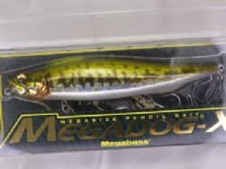GG indicator bass