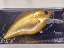 Black back gold (#04)