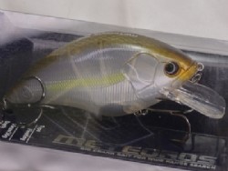 NA shad (#08)