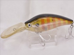 Ghost gill