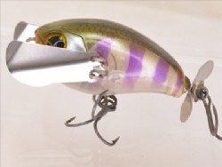 Pochari gill